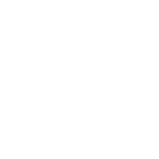 Brand logo for 4 Aces