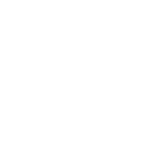 Brand logo for Baskin Robbins